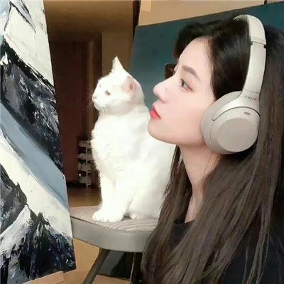 追凶记